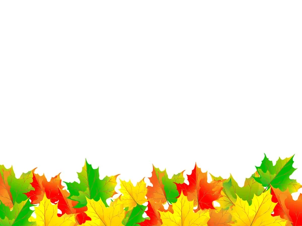 Autumn background with maple leaves. Vector — Stock Vector