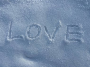 Beyaz pofuduk karın üzerine 