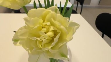 Kafedeki beyaz bir masada sarı ve kırmızı bahar laleleri