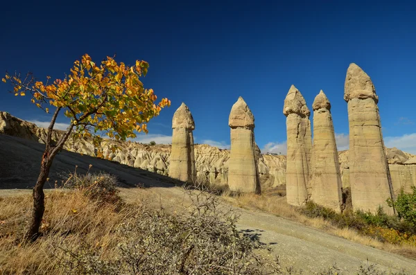 An autumn is in Cappadocia — Stock Photo, Image