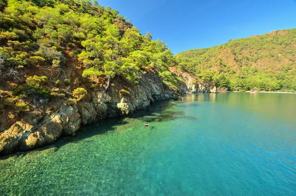 Kayalık sahil. Mavi su.