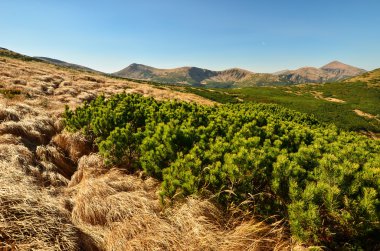 Dağları'nın sonbahar manzara
