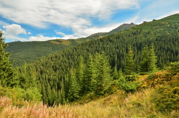 Dağları'nın sonbahar manzara