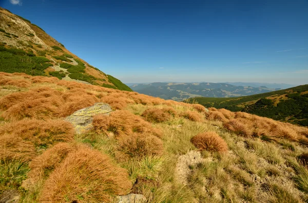 Paisaje otoñal de montañas Fotos De Stock Sin Royalties Gratis