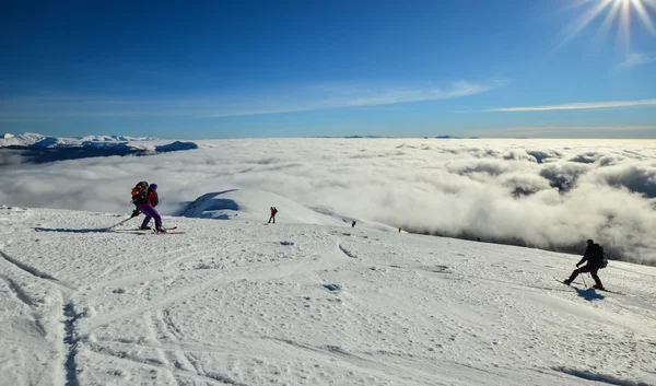 Winter landscape of snow-bound tops — Stock Photo, Image