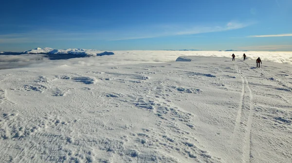冬天的雪绑定顶景观 — 图库照片