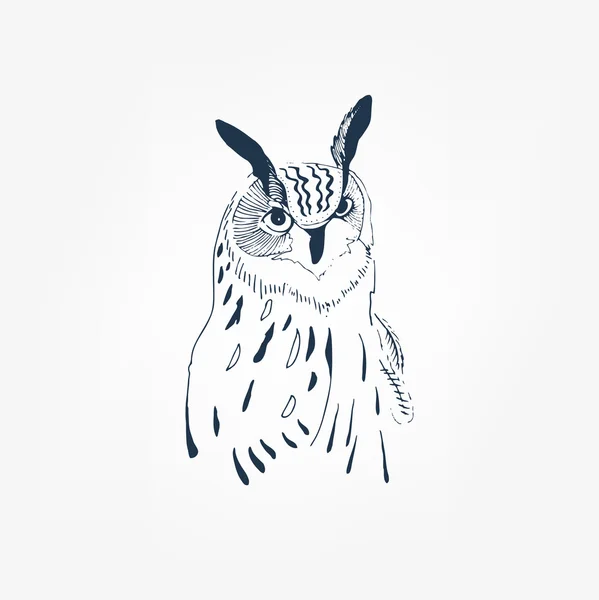 Cute owl on white — Stock Vector