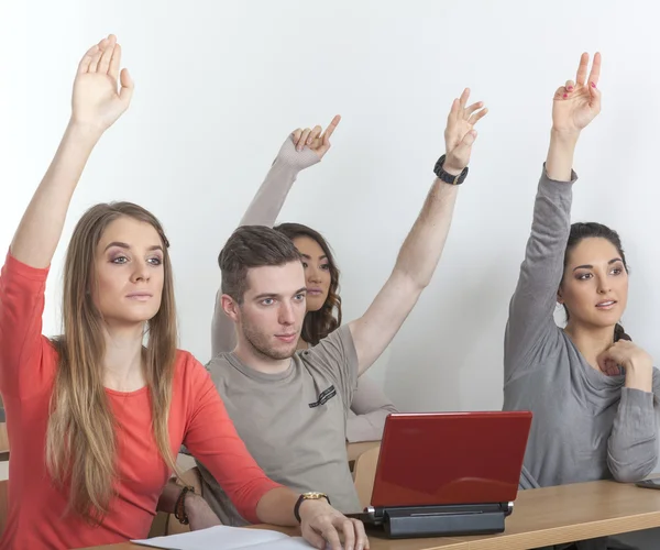 Students put up their hands — Stock Photo, Image