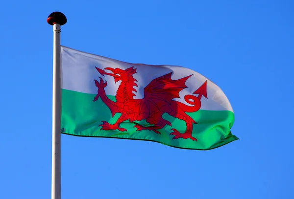 La bandiera nazionale del Galles — Foto Stock