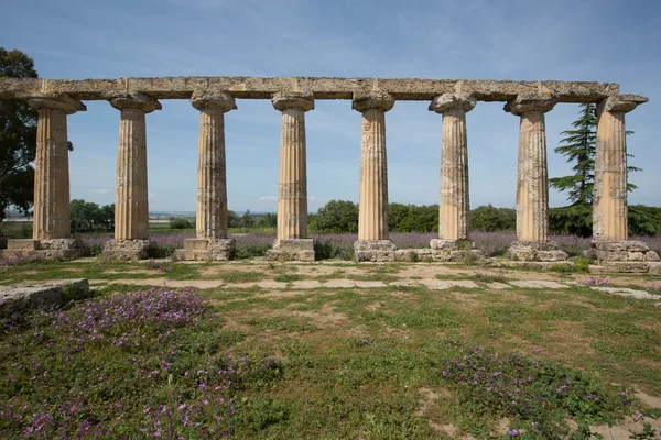 Palatijnse tabellen, Hera — Stockfoto