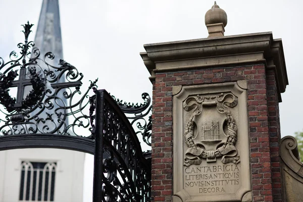 Harvard Üniversitesi'nin Cambridge,