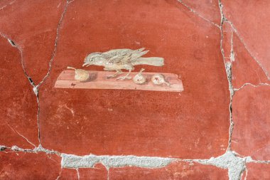 Villa oplontis fresco