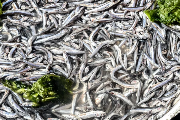 Anchovies in market — Stock Photo, Image