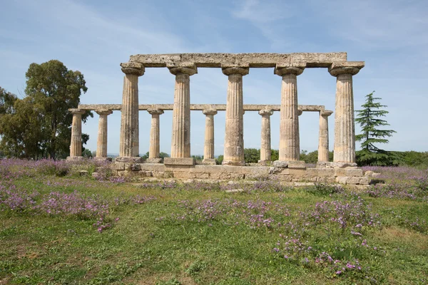 Palatine Tables, Italy — стоковое фото