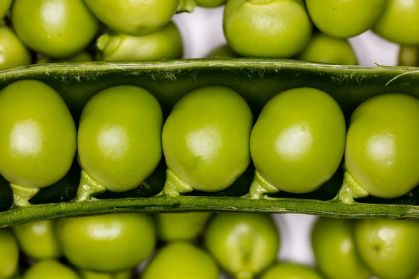 新鮮な緑のエンドウ豆 — ストック写真