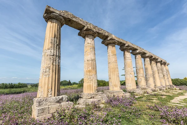 Palatijnse tabellen, Metaponto — Stockfoto