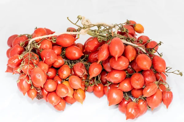 Tomates de Vesúvio — Fotografia de Stock