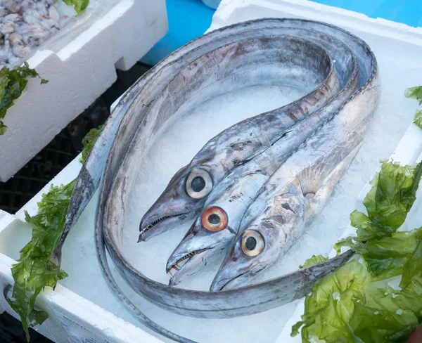Pesce bandiera at fish market — Stock Photo, Image