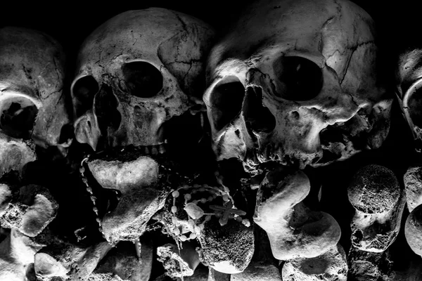 Crânios no cemitério — Fotografia de Stock