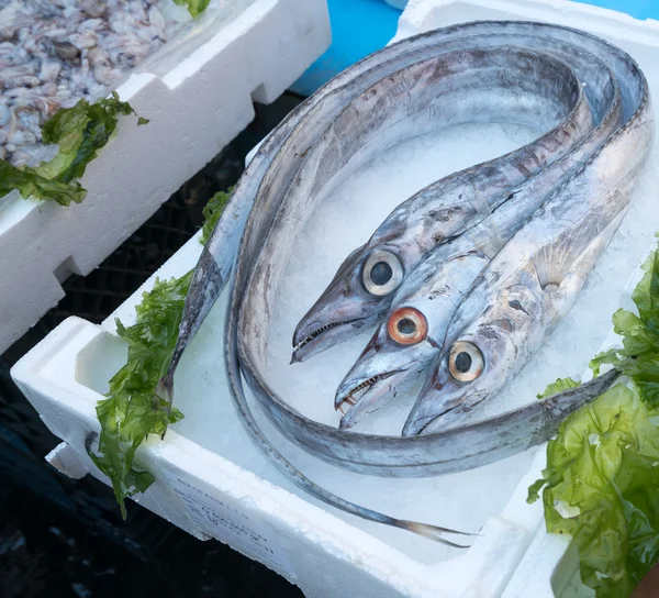 Pesce bandiera at fish market — Stock Photo, Image