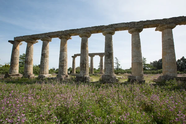 Palatijnse tabellen, Metaponto — Stockfoto