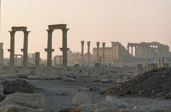 Palmyra, vintage obrázek — Stock fotografie