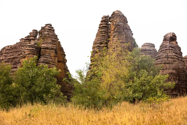 Krep harika, Burkina Faso.