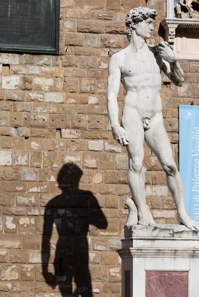 michelangelo tarafından David
