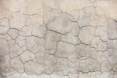 duvar çatlakları ile