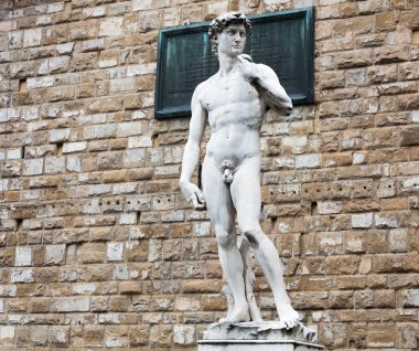 michelangelo tarafından David