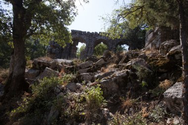 Termessos kalıntıları, Turkye