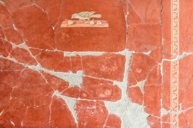 Villa oplontis fresco