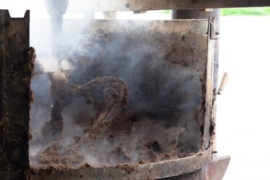 Gübre Sanayi içinde yüzen çarşı, Vietnam