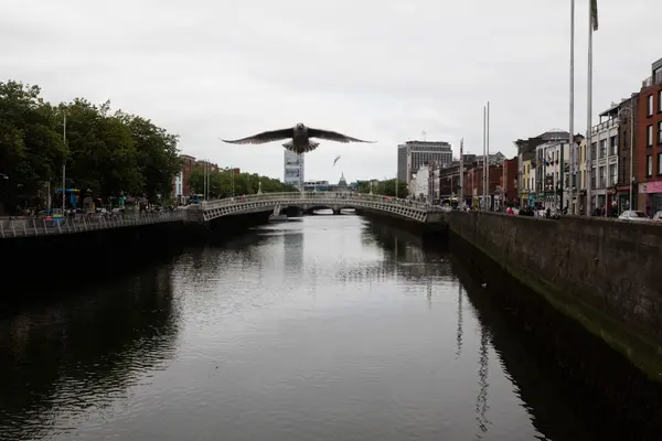 Ha Penny Bridge, Dublin — Stockfoto