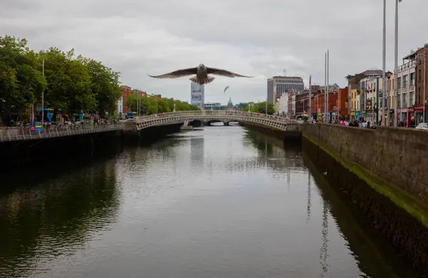 Ha Penny Bridge, Dublin — Stockfoto