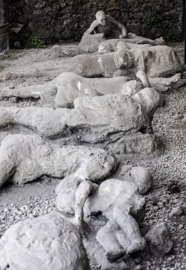 alçı yayınları