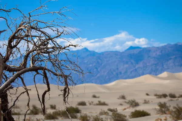 Valle de la muerte — Foto de Stock