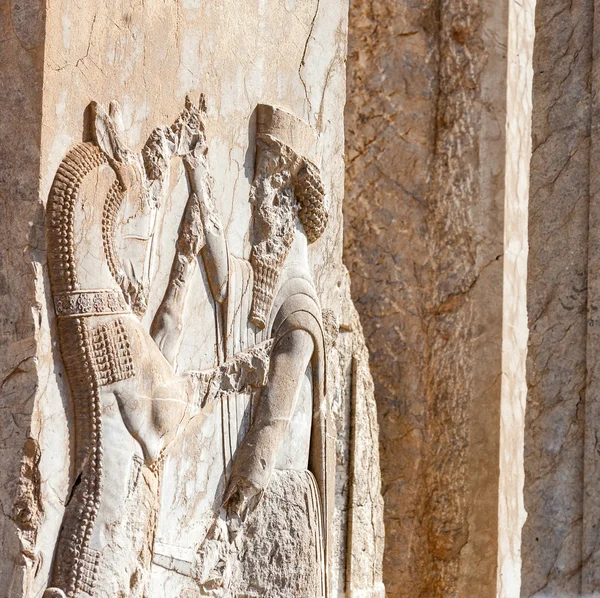 Persepolis — Stock fotografie