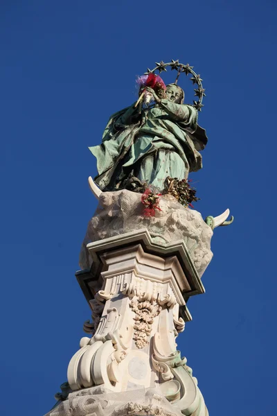 Piazza del gesù — Stock Photo, Image