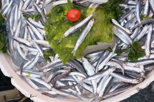 Anchovies — Stock Photo, Image