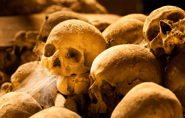 Middle ages skulls — Stock Photo, Image