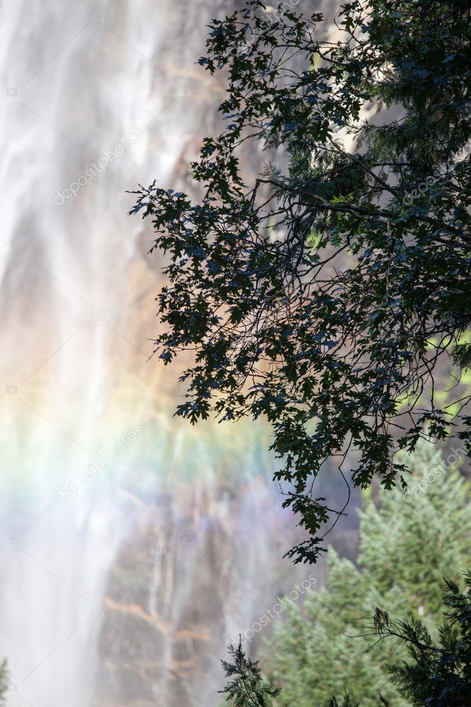 water falls in Yosemite