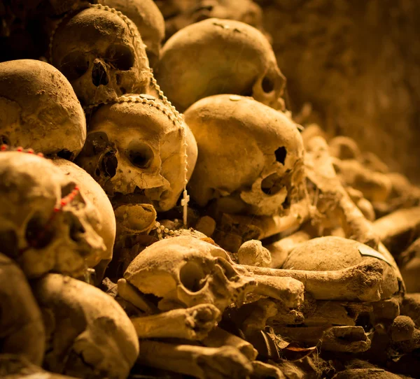 Orta Çağ kafatasları — Stok fotoğraf