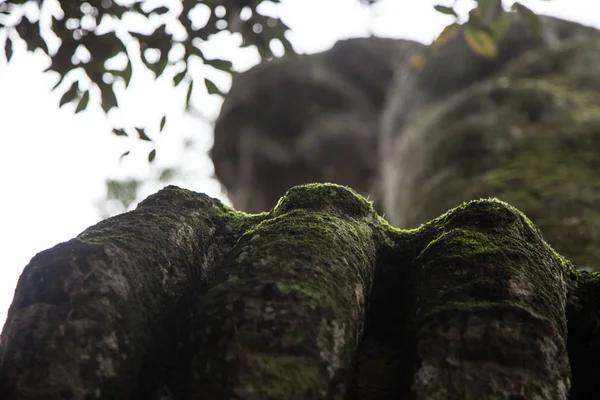 Bomarzo — Foto Stock