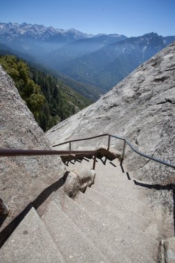 Sekoya Ulusal Parkı