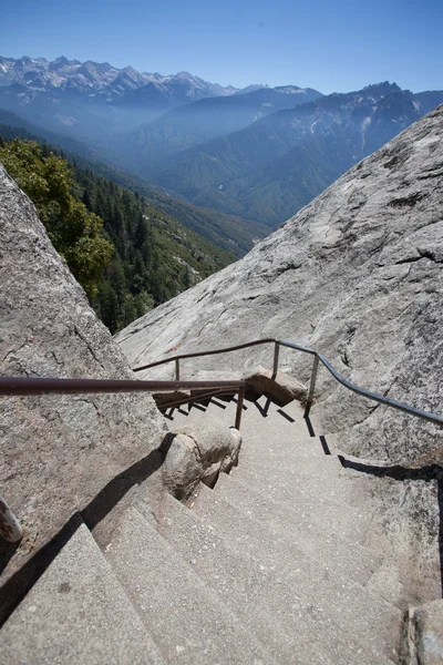 Sekoya Ulusal Parkı