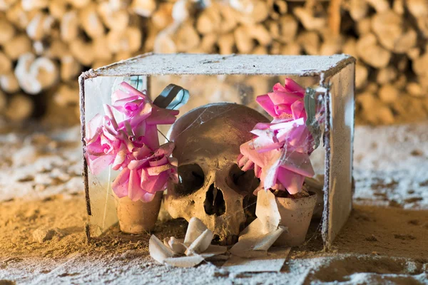 Fontanel mezarlığı Napoli, İtalya