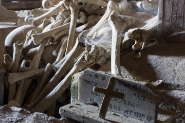 kafatasları ve kemikleri