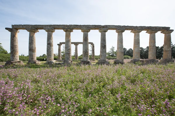 Palatijnse tabellen — Stockfoto