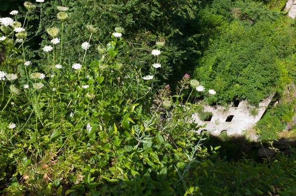 Valley of mills — Stock Photo, Image